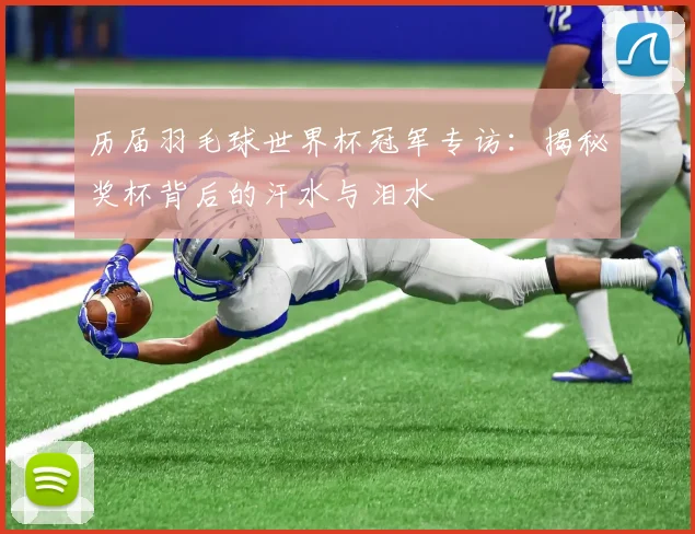 历届羽毛球世界杯冠军专访:揭秘奖杯背后的汗水与泪水