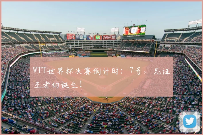 WTT世界杯决赛倒计时：7号，见证王者的诞生！