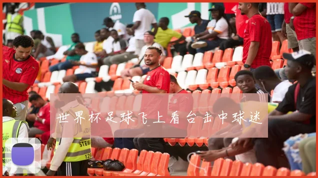 世界杯足球飞上看台击中球迷