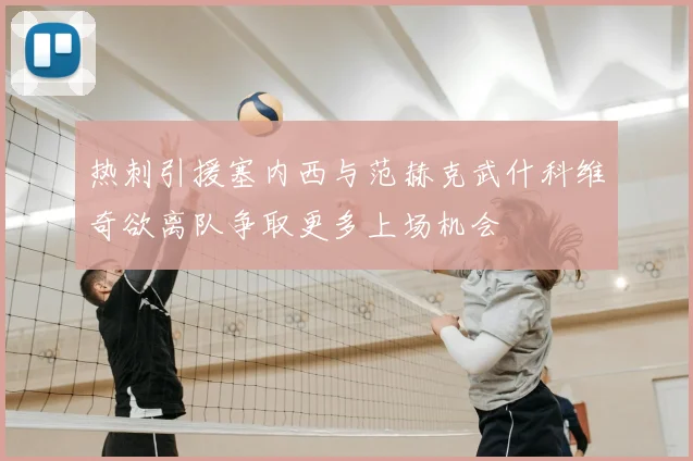 热刺引援塞内西与范赫克武什科维奇欲离队争取更多上场机会