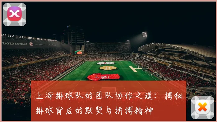 上海排球队的团队协作之道:揭秘排球背后的默契与拼搏精神