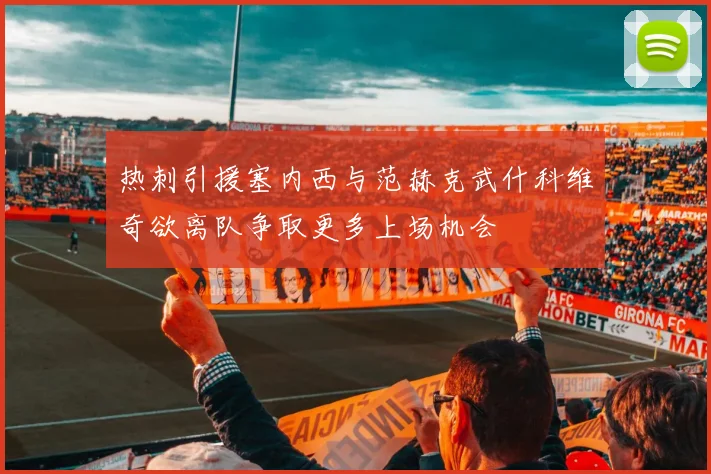 热刺引援塞内西与范赫克武什科维奇欲离队争取更多上场机会