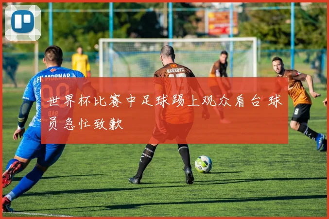 世界杯比赛中足球踢上观众看台 球员急忙致歉