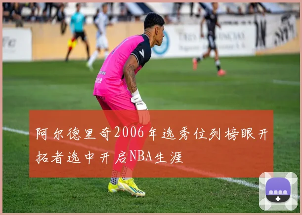 阿尔德里奇2006年选秀位列榜眼开拓者选中开启NBA生涯