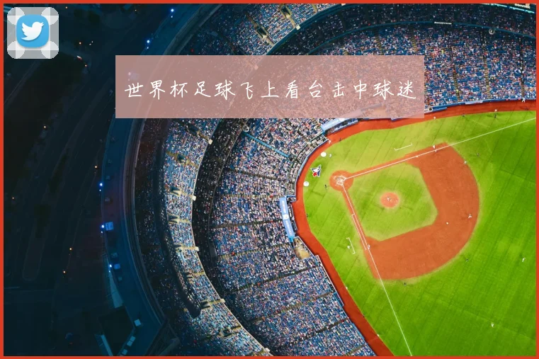 世界杯足球飞上看台击中球迷