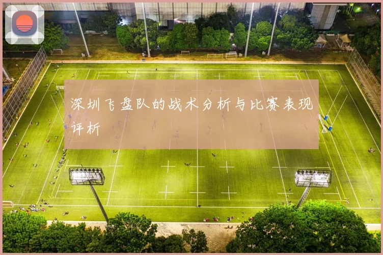 深圳飞盘队的战术分析与比赛表现评析
