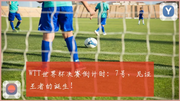 WTT世界杯决赛倒计时：7号，见证王者的诞生！