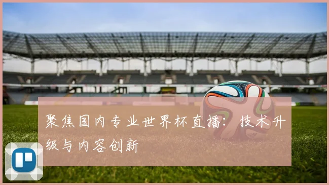 聚焦国内专业世界杯直播：技术升级与内容创新