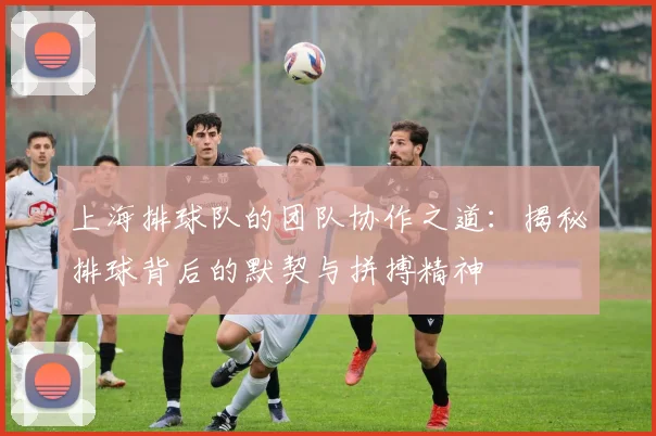 上海排球队的团队协作之道:揭秘排球背后的默契与拼搏精神